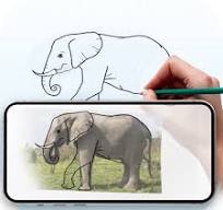 Draw : Trace & Sketch